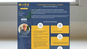 MJDK Conseil